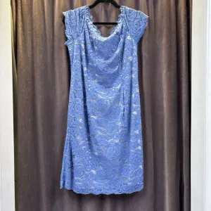 Adrianna Papell Lace Overlay DRESSES 14