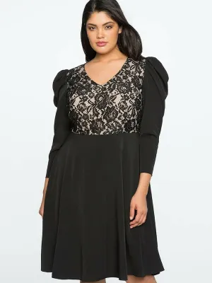 eloquii Size 16 Black & Beige Lace Dress