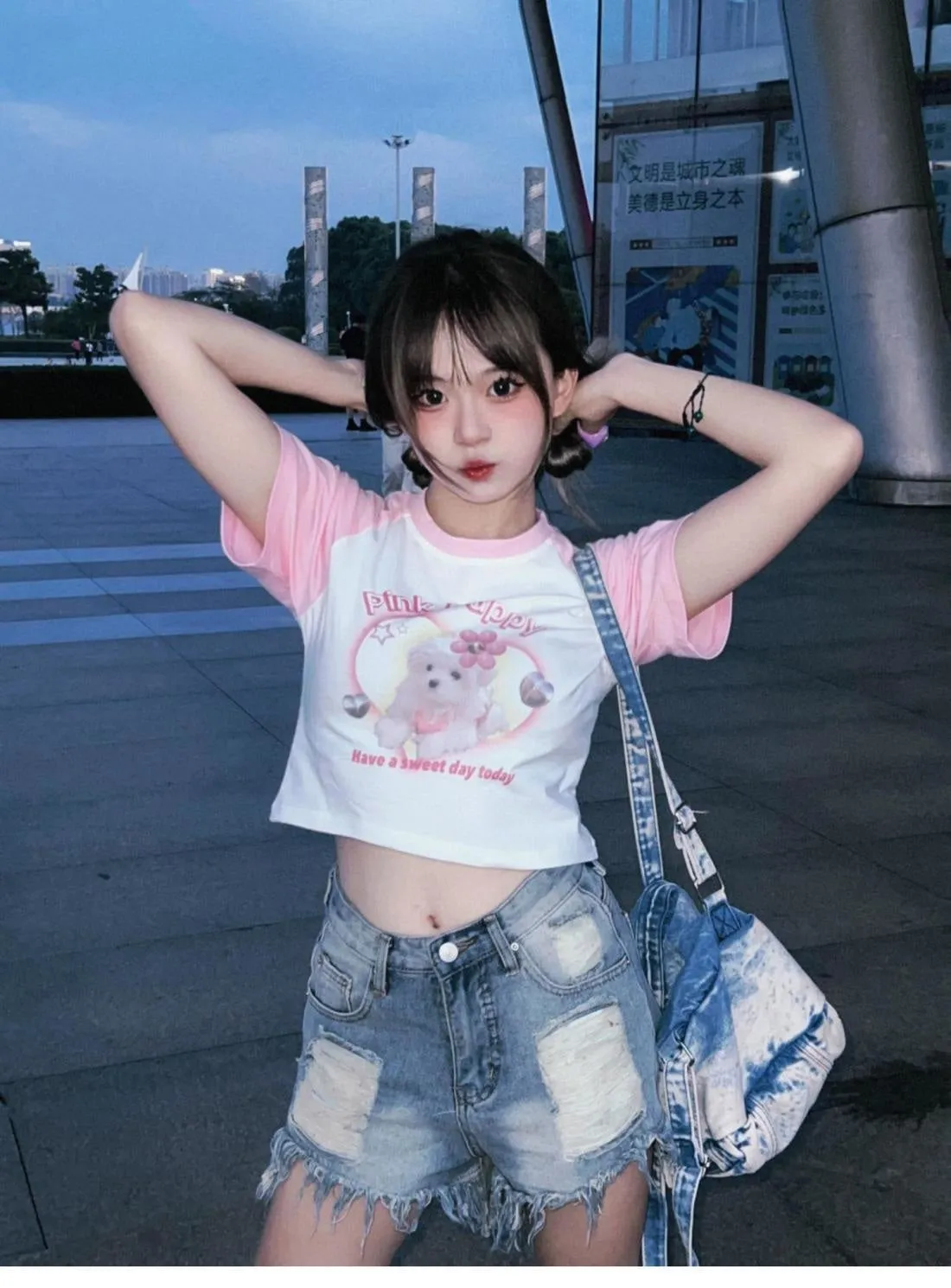 Pink Puppy Crop Top
