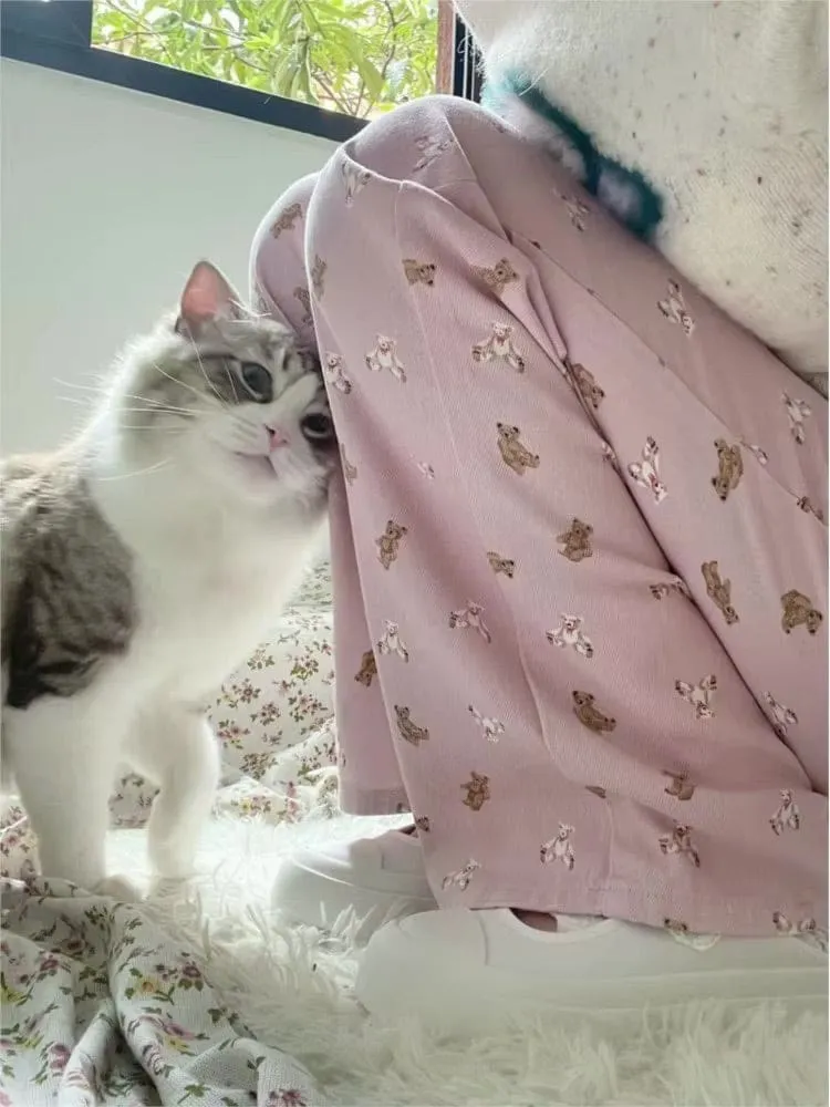 Tiny Teddy Trousers
