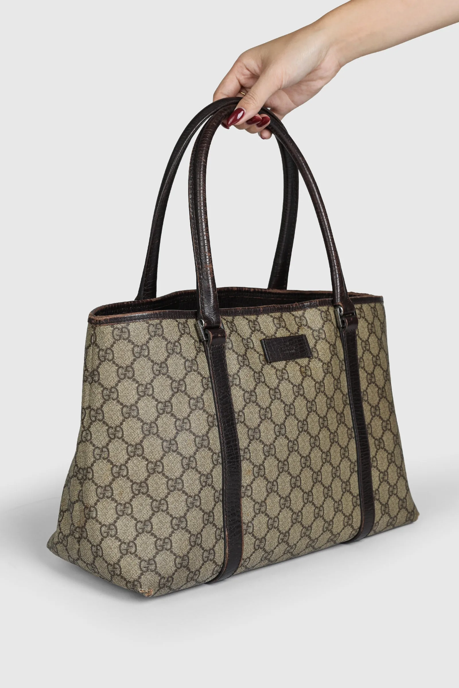 Vintage Gucci Handbag Frankie