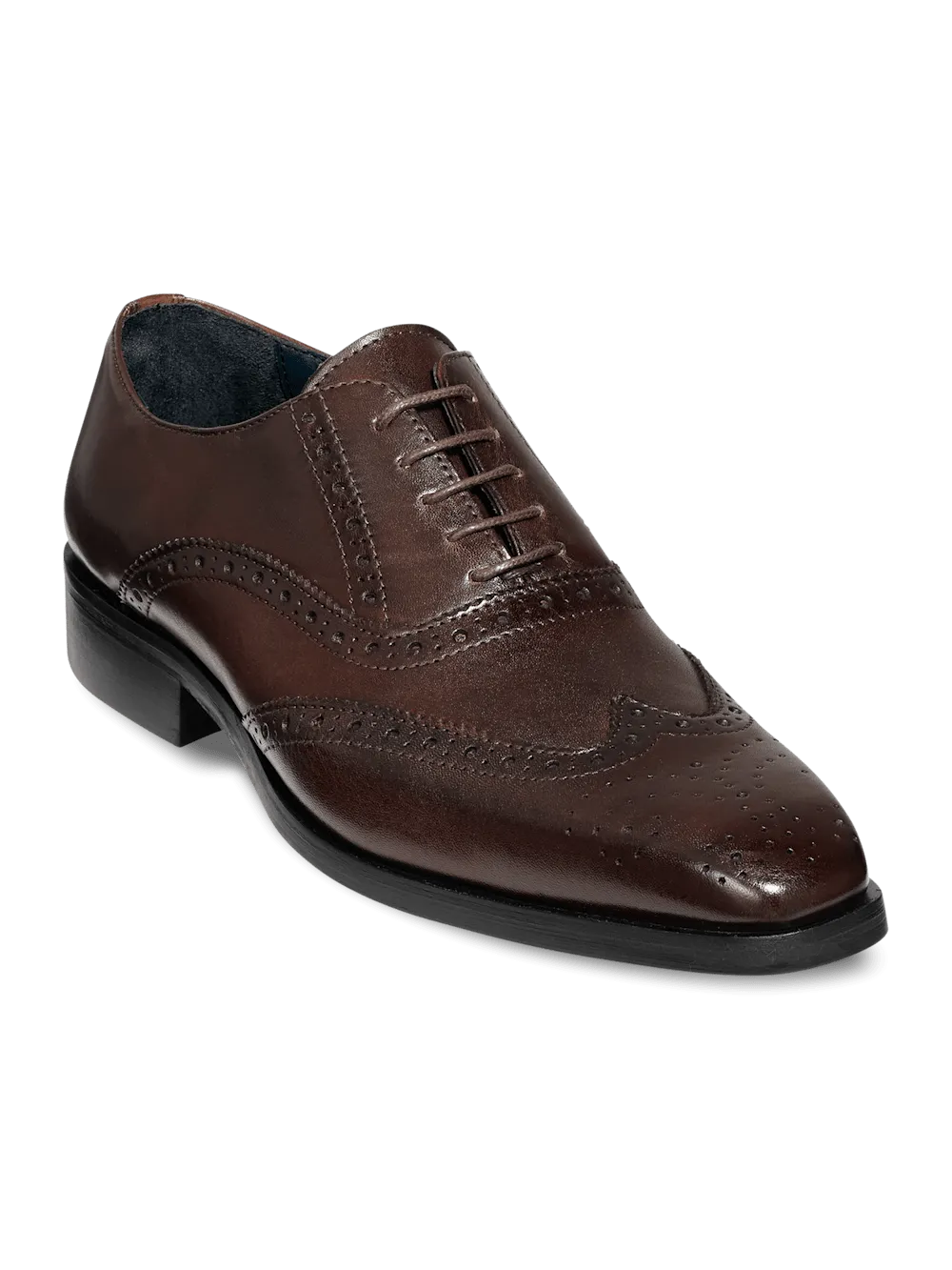 Watson Oxford - Dark Brown